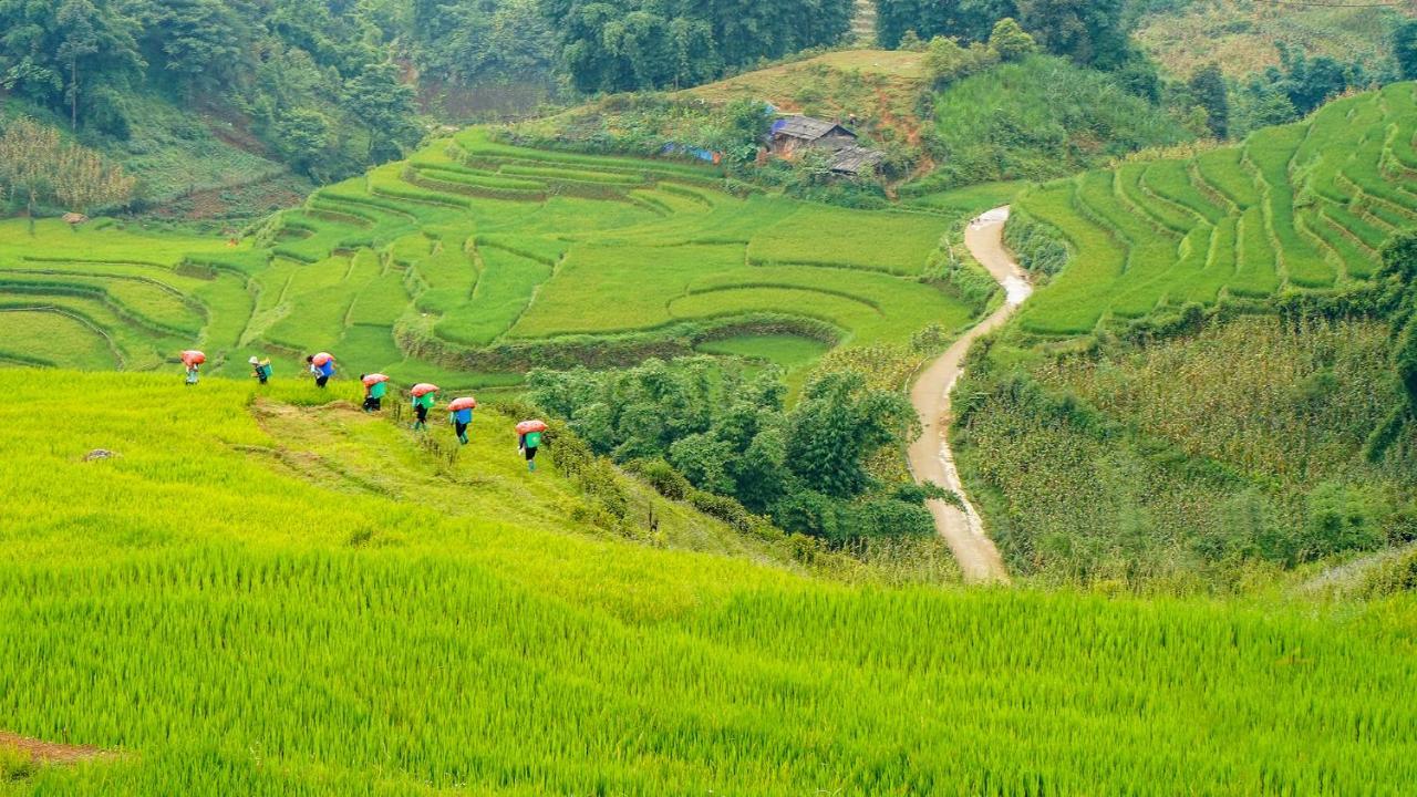 Sapa Fantasea Homestay Bagian luar foto