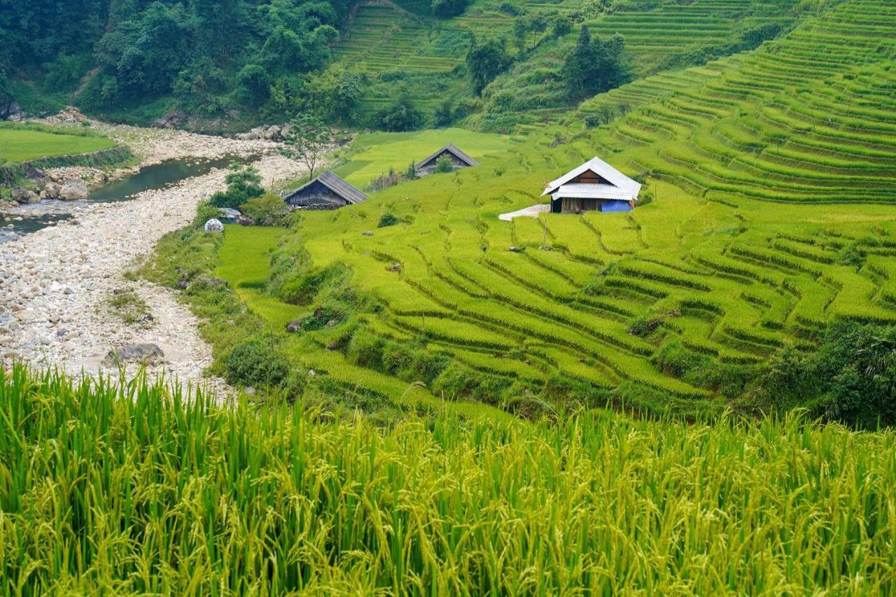 Sapa Fantasea Homestay Bagian luar foto