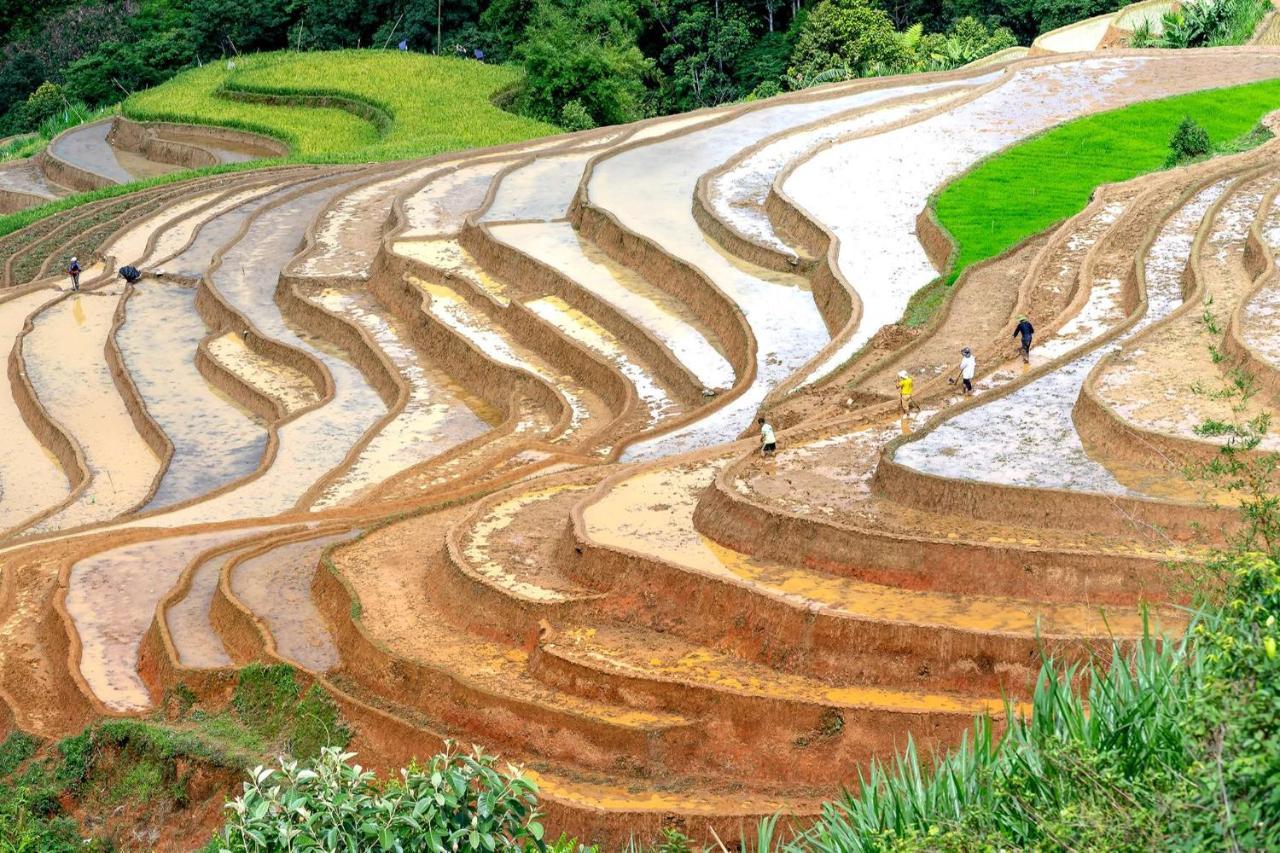 Sapa Fantasea Homestay Bagian luar foto